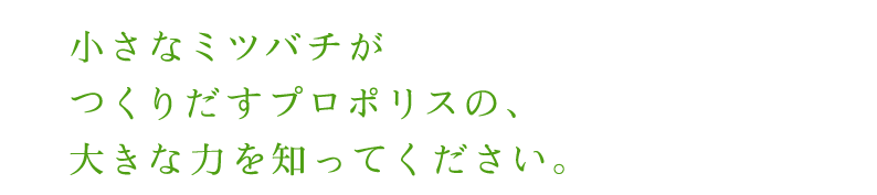 �����ȃ~�c�o�`�����肾���v���|���X�́A�傫�ȗ͂�m���Ă��������B