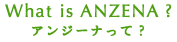 What is ANZENA ? 