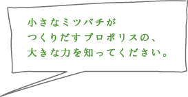 �����ȃ~�c�o�`�����肾���v���|���X�́A�傫�ȗ͂�m���Ă��������B